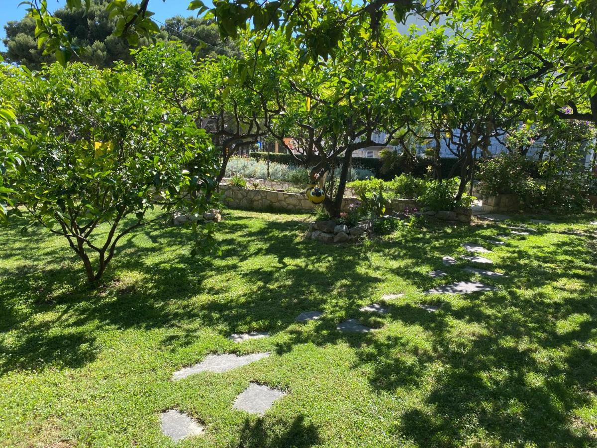 Terrace Apartment Hvar Town Bagian luar foto