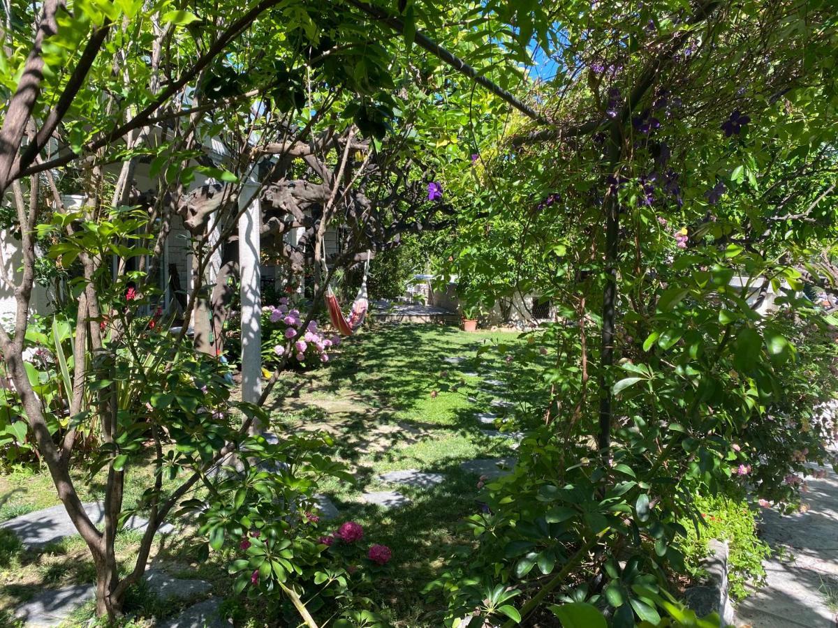Terrace Apartment Hvar Town Bagian luar foto